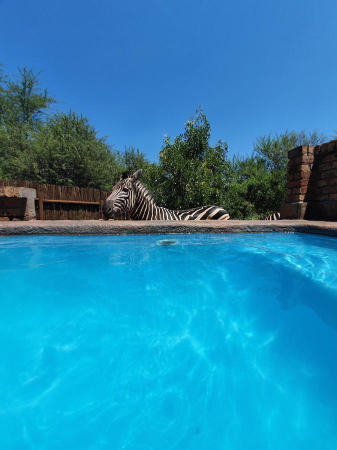 Giraffe Plains Villa Marloth Park Exterior foto
