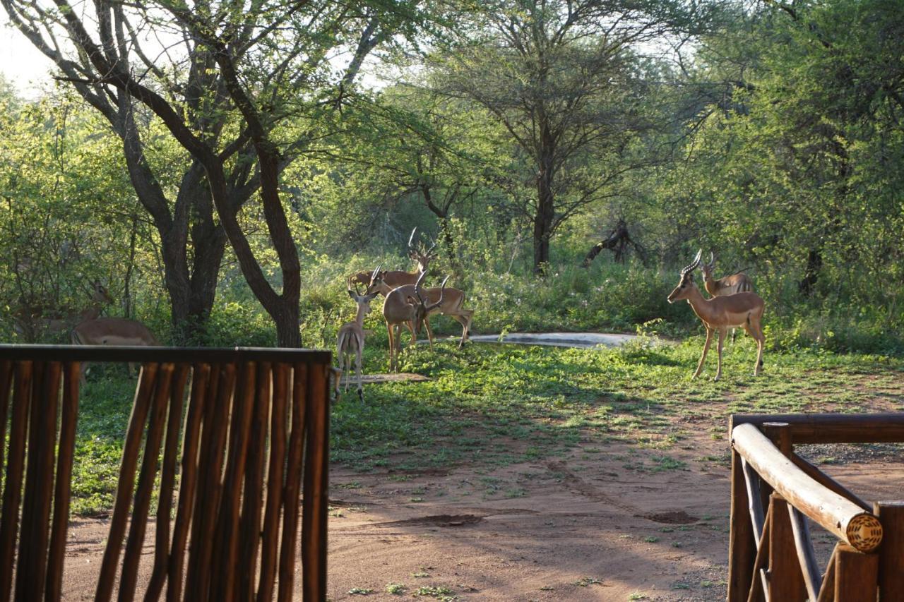 Giraffe Plains Villa Marloth Park Exterior foto